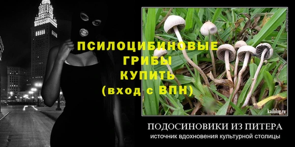 Альфа ПВП Елизово