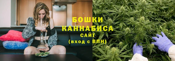 Альфа ПВП Елизово