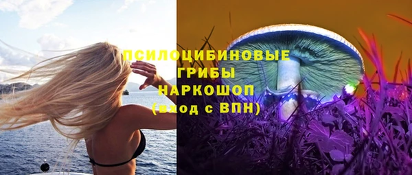 герыч Ельня
