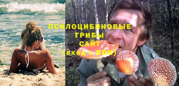 Альфа ПВП Елизово
