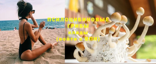 Альфа ПВП Елизово